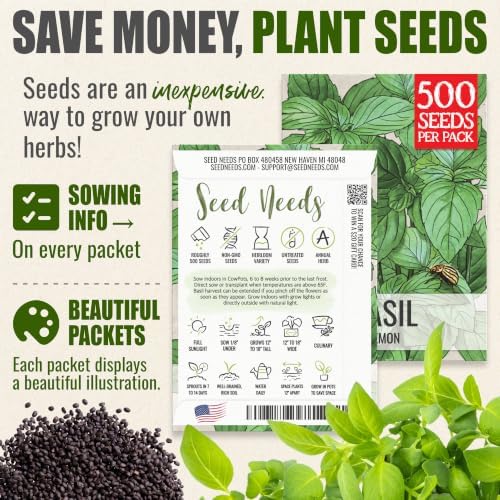 Seed Needs Lemon Basil Seeds to Plant an Herb Garden - 2 Packs - Image 3