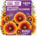 1,500 Blanket Heirloom Flower Seeds for Planting, Gaillardia Aristata by KVITER