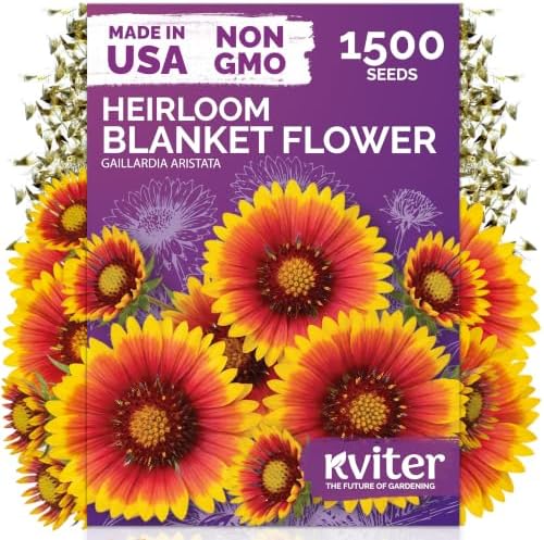 1,500 Blanket Heirloom Flower Seeds for Planting, Gaillardia Aristata by KVITER