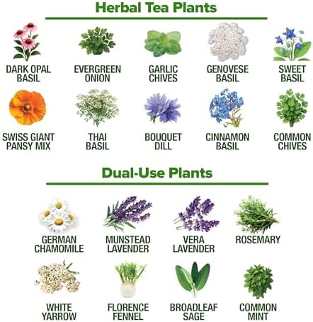HOME GROWN 32 Medicinal Herb & Tea Variety Seeds Garden Kit - Image 4