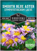 Smooth Blue Aster Seeds for Planting, Symphyotrichum laeve, 1 Pack by SurvivalGardenSeeds