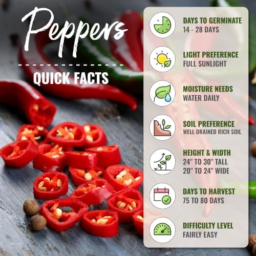 Seed Needs Thick Cayenne Pepper Seeds to Plant Vegetables - 10 Packs - Image 4