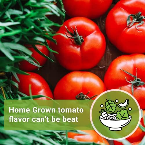 Sow Right Seeds- Beefsteak Tomato Seed for Planting Beef Steak Tomatoes 3pk - Image 5