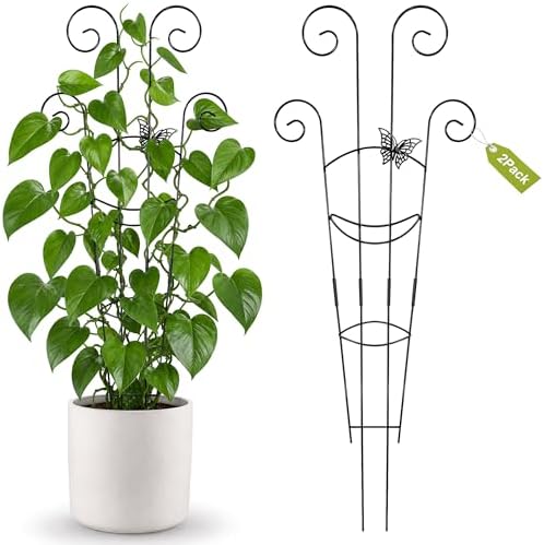 2 Pcs 30'' Monstera Plant Support Stakes, Metal Garden Trellis for Potted Plants Outdoor, Tall Expandable Houseplant Climber Trellis with Butterfly Design for Ivy Hoya Vin (Black) by Unknown