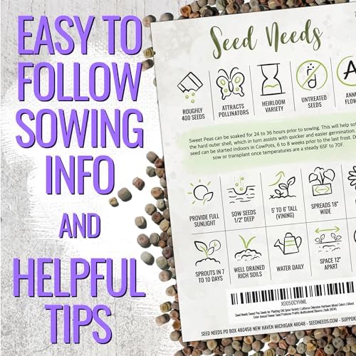 Seed Needs Flower Seeds to Plant Old Spice Sweet Pea - 1 Ounce Bulk Pack - Image 4