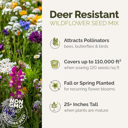 Eden Brothers Deer Resistant Wildflower Mixed Seeds for Planting, 25 lb - Image 2