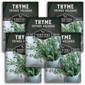Thyme Seeds for Planting – Survival Garden Seeds (5 Packs) by SurvivalGardenSeeds