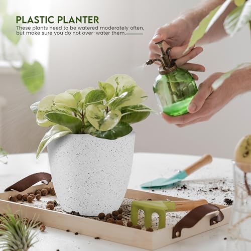Plant Pots Indoor with Drainage 10 Pack Multi-Size Planters Set Spotty Grey - Image 5