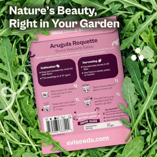 SVI 2200 Roquette Arugula Seeds (Eruca vesicaria sativa) – Rocket Arugula Seed Packets – Peppery Salad Greens, Heirloom Vegetable Seeds for Raised Beds, Containers, Indoor Garden & Outdoor Herb Garden - Image 2