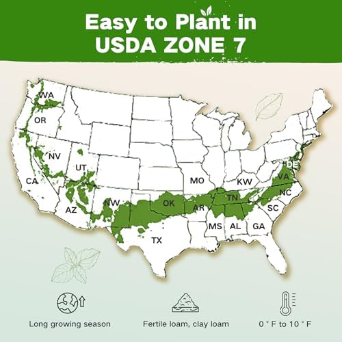 Year-Round Zone 7 Seed Bank, Gift for Mom Dad, 32 Varieties Heirloom Seeds - Image 2