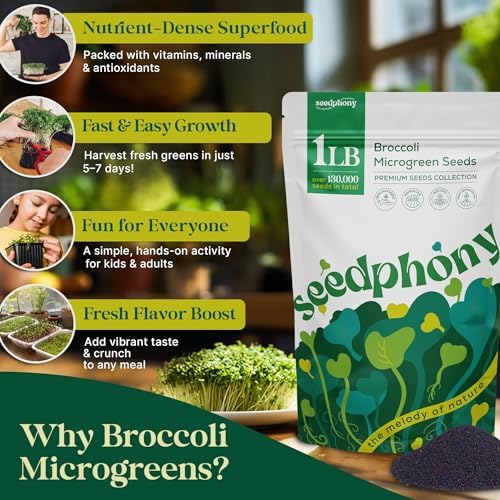 Broccoli Sprouting & Microgreens Seeds - 130,000 Non-GMO Heirloom Seed, 1lb Resealable Bag - High-Germination Broccoli Seeds for Sprouting in Jars, Soil, Hydroponics & Microgreen Trays - Image 4