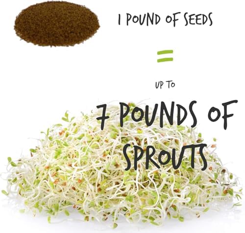 Handy Pantry Organic Sprouting Seed Assortments - Microgreens, Sprout Seeds - Image 4