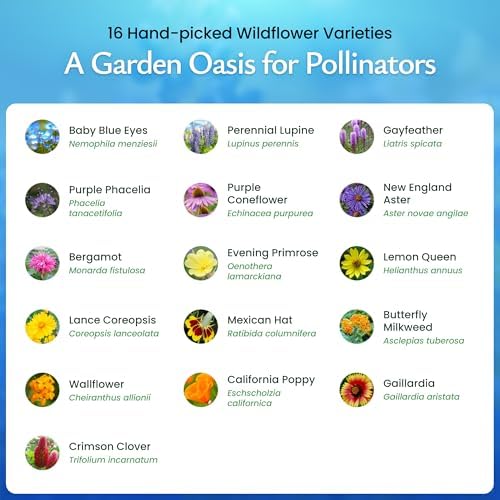 Bee & Butterfly Wildflower Seed Mix, 30,000 Seeds, Covers 300 Sq Ft - Image 3