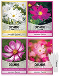 Gardeners Basics, Cosmos Seeds for Planting Outdoors Flower Seeds (4 Variety Pack) Cosmos Candystripe, Sensation Mix, Dazzler, Purity Pink and White Varieties for Bees, Pollinators Wildflower Seed by GardenersBasics
