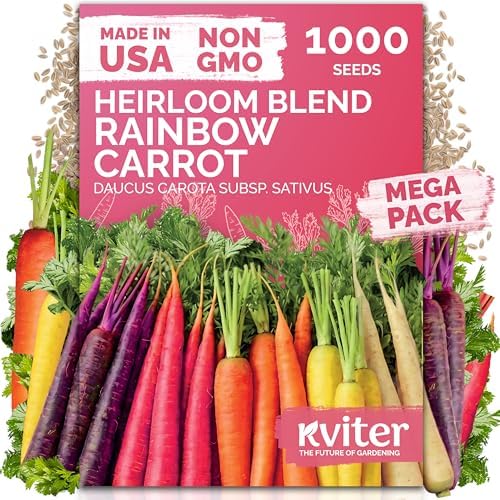 1,000 Rainbow Carrot Heirloom Vegetable Seeds for Planting, Daucus Carota by KVITER