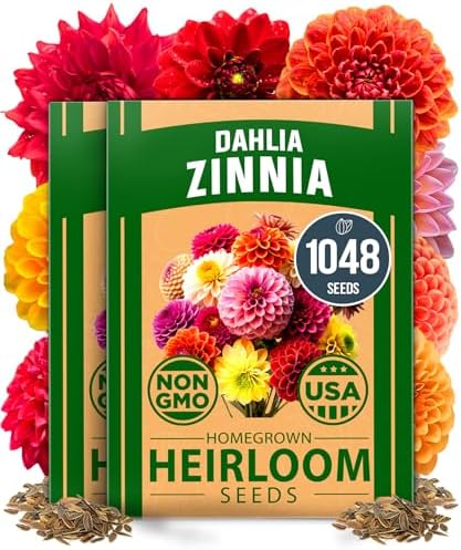 HOME GROWN Zinnia Dahlia Seeds, 1048 Seeds, Zinnia elegans by HOMEGROWN