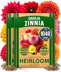 HOME GROWN Zinnia Dahlia Seeds, 1048 Seeds, Zinnia elegans by HOMEGROWN