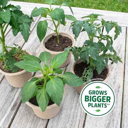 Back to the Roots 3-in-1 Seed Starting Mix 6 Quarts, 100% Organic & USA Made for Herbs, Veggies, Flowers, w/Nutrient Rich Plant Food, Worm-Castings, & Moisture Controlling Yucca Brown - Image 6
