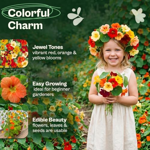 SVI 100 Mix Jewel Nasturtium Seeds (Tropaeolum nanum) – Dwarf Nasturtiums Seed Packets, Wildflower Seed Mix – Cut Flower Seeds Packets for Containers, Butterfly Garden, Flower Beds & Outdoor Garden - Image 3
