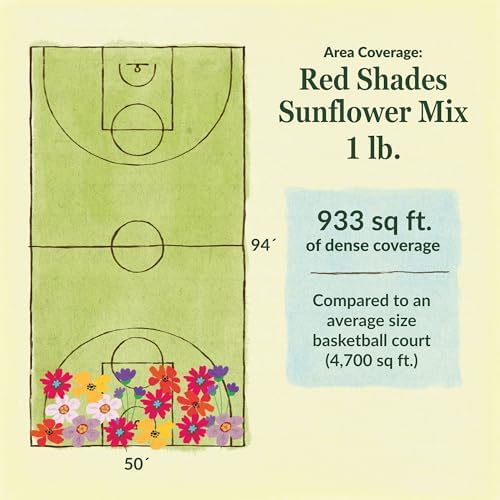 Ferry-Morse Red Shades Bulk Sunflower Seed Mix, 15,000+, 1 lb - Image 6