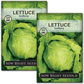 Sow Right Seeds - Iceberg Lettuce Seeds for Planting Crisp Head Variety 2pk by SowRightSeeds