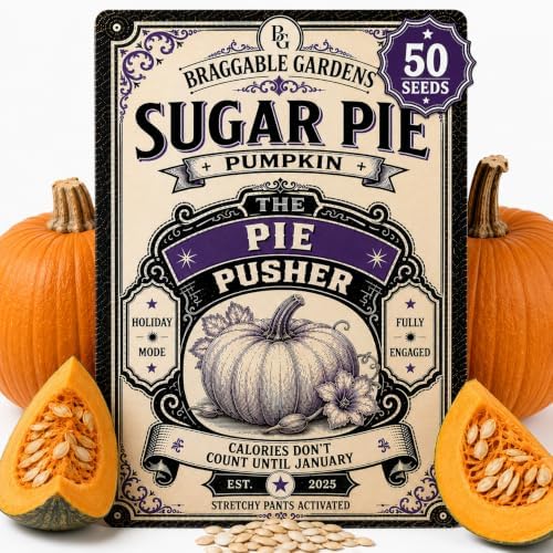 Sugar Pie Pumpkin Seeds for Planting, Heirloom Pie Pumpkin Vegetable Seeds, Sweet Baking Pumpkin Variety, Fall Harvest Crop for Pies, Roasting, Soups and Home Garden Growing by BraggableGardens