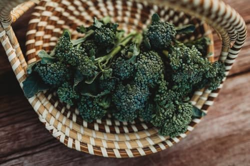 Di Cicco Broccoli - 100 Heirloom Seeds for Planting, Thresh Seed Co. - Image 3
