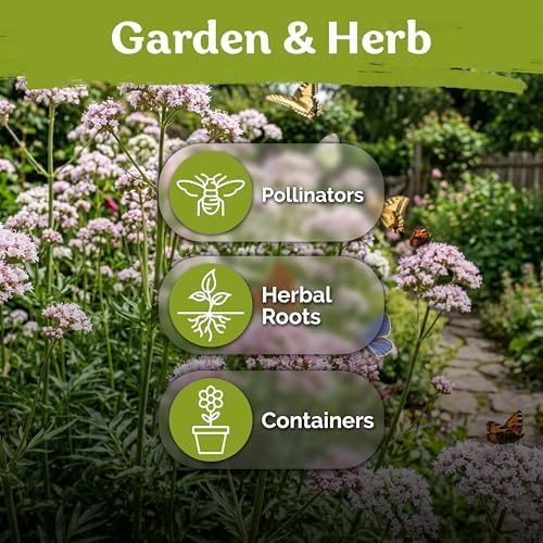 650 Valerian Heirloom Herb Seeds for Planting, Valeriana Officinalis - Image 6
