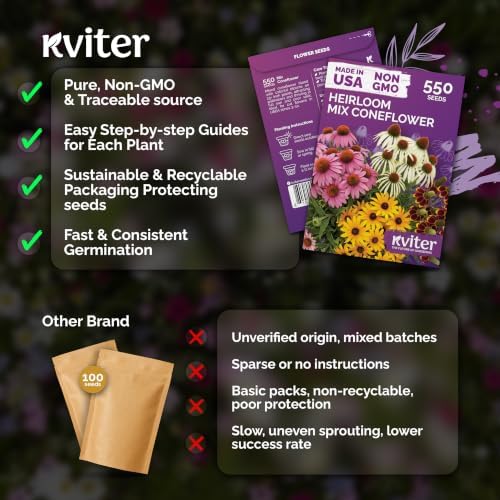 550 Mixed Coneflower Seeds for Planting, Heirloom Flower Seeds - Image 5