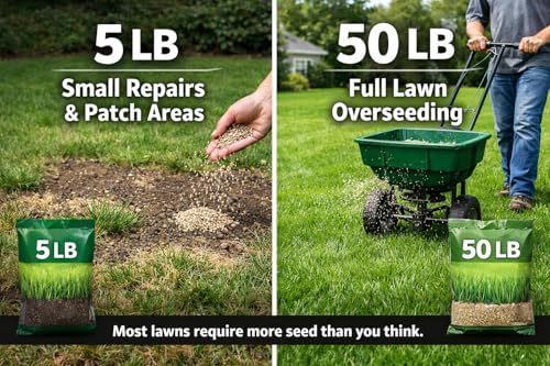 Quick-2-Gro Fast Germinating Grass Seed Mix – Lawn Repair & Overseeding Seed for Thick Green Turf – Cool Season Grass for Spring & Fall (50 lbs) - Image 3
