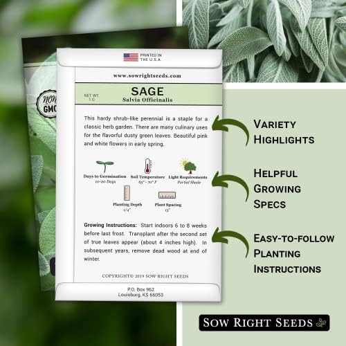 Sow Right Seeds - Sage Seed for Planting Perennial Herb Kitchen Garden 4pk - Image 2