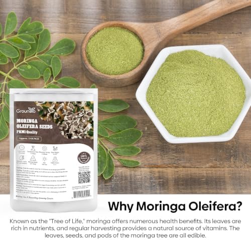 Groundio Moringa Seeds 2Oz, Non-GMO PKM1+ Moringa Oleifera for Planting - Image 5