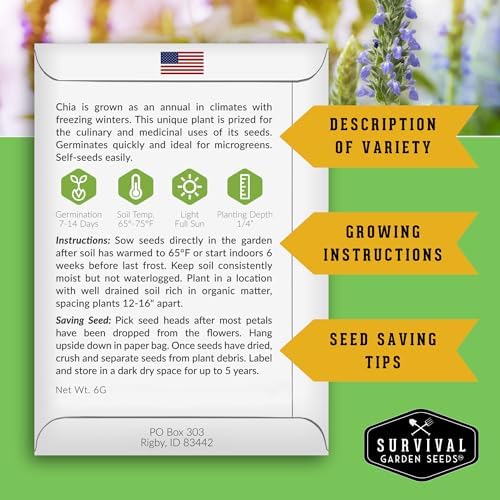 Chia Seeds for Planting – Mexican Salvia Hispanica (2 Pack) - Image 2