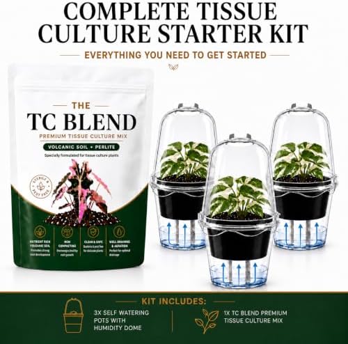 Tissue Culture Starter Kit, Self Watering Pots for Indoor Plants, TC Soil Kit with Volcanic Soil & Perlite, Clear Plant Pots with Drainage, TC Acclimation Kit, Potting Mix for Tissue Culture Plants - Image 3