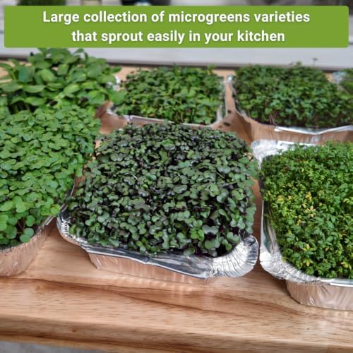 Sow Right Seeds - Large Microgreens Seed Collection for Planting Indoors - Image 3
