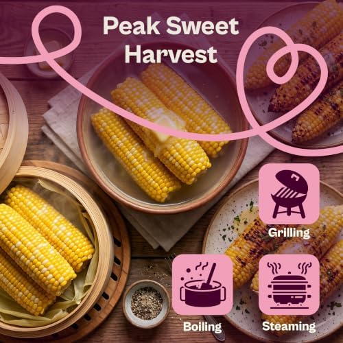 SVI 125 Peaches and Cream Corn Seeds (Zea mays) – Peaches & Cream Super Sweet Corn Seed Packets, Bicolor Sweet Yellow – Non GMO Heirloom Vegetable Seeds Outdoor Vegetable Garden Seed, Home Garden - Image 4