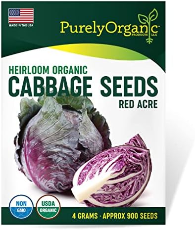 Organic Cabbage Seeds (Red Acre) - Approx 750 Seeds - Certified Organic, Non-GMO, Open Pollinated, Heirloom, USA Origin by Purely+Organic+Products+LLC