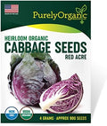 Organic Cabbage Seeds (Red Acre) - Approx 750 Seeds - Certified Organic, Non-GMO, Open Pollinated, Heirloom, USA Origin by Purely+Organic+Products+LLC