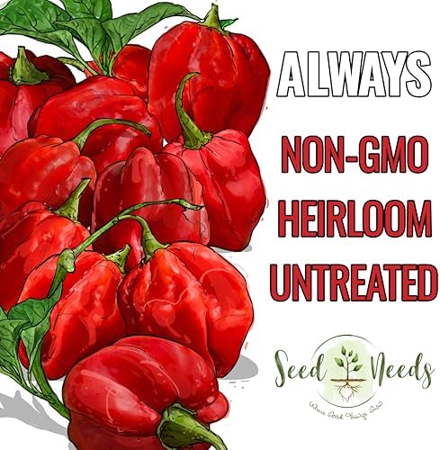 Seed Needs Red Habanero Hot Pepper Seeds to Plant Vegetables - 1 Pack - Image 5