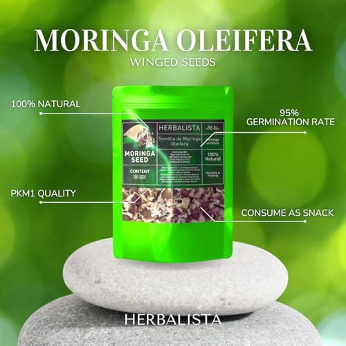 Herbalista Moringa Seeds | 3.5oz (100g) Approx. 350+ Seeds | Premium PKM1 Variety | Snacking & Planting | Non-GMO | Wildcrafted Drumstick Tree (Malunggay) | Moringa Oleifera Semillas - Image 7