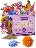 Wildflower Seeds – Massive Meadow Mix, 25 Heirloom Varieties (18 Annuals + 5 Biennials + 2 Specials), 135,000+ Seeds (1lb) Covers 2250-2800 sq.ft., High Germination for Large Outdoor Pollinator Garden by PLANTMEW