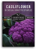 Purple Cauliflower Seeds for Planting, Violetto di Sicilia - 1 Pack by SurvivalGardenSeeds
