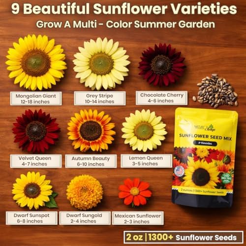 NatureZ Edge 1300+ Sunflower Seeds Garden Variety Pack, Bulk Sunflower Seeds for Planting Flowers, Get More Sunflower Seeds to Plant, Mammoth, Dwarf, Lemon Queen, Giant and More. 2oz Packet - Image 2
