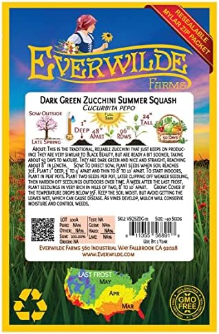 40 Dark Green Zucchini Summer Squash Seeds - Gold Vault Seed Packet - Image 2