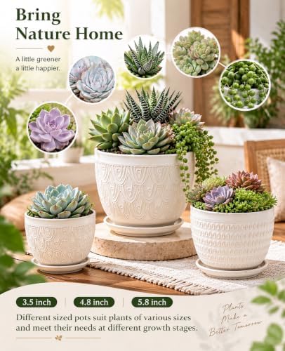 5.8 Inch Ceramic Pots for Plants, Large Succulent Pots with Drainage Hole & Saucer, Vintage Planter Pots for Indoor Plant Orchid, Cactus, Flower Pots Set of 4, Home Decor, White Black - Image 6