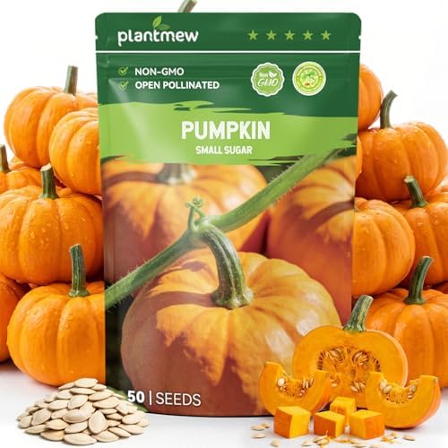 50 Heirloom Small Sugar Pumpkin Seeds for Planting – Sweet Pie Pumpkin, Compact Vines, High Germination, Ideal for Home Garden & Container by PLANTMEW