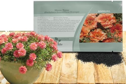 Outsidepride Sundial Peach Portulaca Moss Rose Seeds - 250 Pcs Annual, Heat & Drought Tolerant, Soil Adaptable Moss Seeds Ground Cover & Flower Seeds for Planting in Gardens & Xeriscapes (AAS Winner) by Outsidepride
