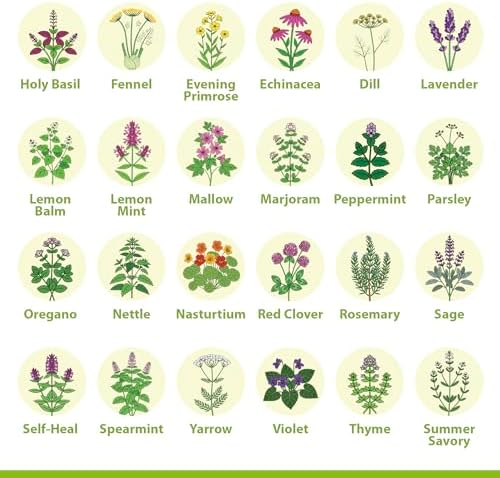 Medicinal Herb/Tea Seeds Garden -39 Variety Heirloom Gift Kit - Made in USA - Image 4