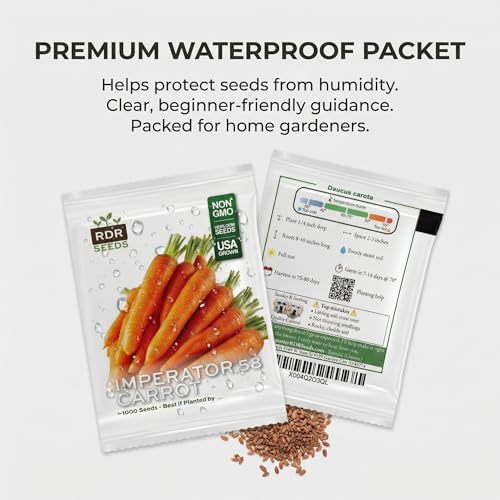 1000 Imperator 58 Carrot Seeds for Planting - Long Sweet Crisp Heirloom, Non-GMO, USA Grown by RDR Seeds - Image 7