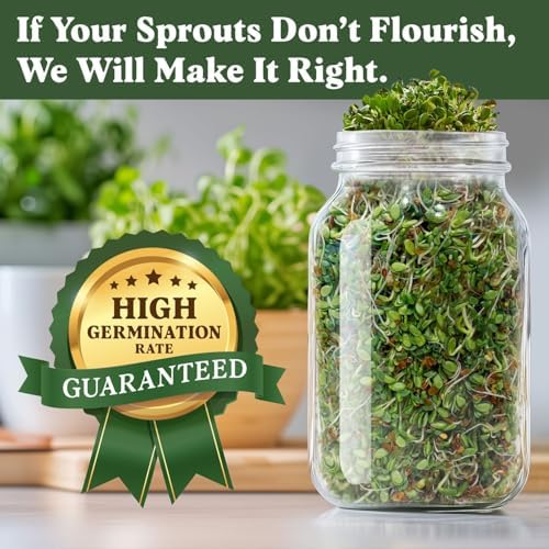 Seedboy Organic Non-GMO Sprouting Seeds (Gut Health Blend) - Image 4